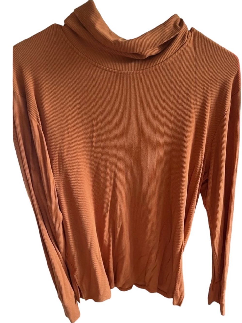 Grace and Emma turtleneck 2xl